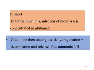 In short
In transaminations, nitrogen of most AA is
concentrated in glutamate
• Glutamate then undergoes dehydrogenation +
deamination and releases free ammonia NH3
10
 