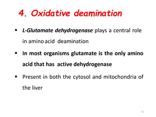 4. Oxidative deamination
 L-Glutamate dehydrogenase plays a central role
in aminoacid deamination
 In most organisms glutamate is the only amino
acid that has active dehydrogenase
 Present in both the cytosol and mitochondria of
the liver
11
 