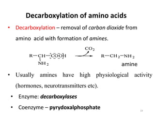 amine
• Usually amines have high physiological activity
(hormones, neurotransmitters etc).
• Enzyme: decarboxylases
• Coenzyme – pyrydoxalphosphate
Decarboxylation of amino acids
• Decarboxylation – removal of carbon dioxide from
amino acid with formation of amines.
19
 