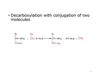 • Decarboxylation with conjugation of two
molecules
21
 