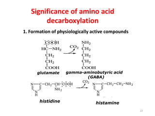 Significance of amino acid
decarboxylation
1. Formation of physiologically active compounds
glutamate gamma-aminobutyric acid
(GABA)
histamine
histidine
22
 
