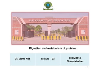 Dr. Saima Naz Lecture - 03 CHEM3119
Biometabolism
1
Digestion and metabolism of proteins
 