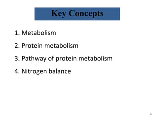 Key Concepts
1. Metabolism
2. Protein metabolism
3. Pathway of protein metabolism
4. Nitrogen balance
4
 