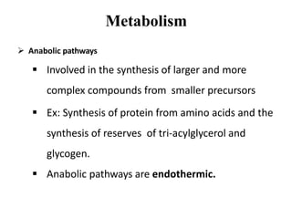Metabolism
 Anabolic pathways
 Involved in the synthesis of larger and more
complex compounds from smaller precursors
 Ex: Synthesis of protein from amino acids and the
synthesis of reserves of tri-acylglycerol and
glycogen.
 Anabolic pathways are endothermic.
 