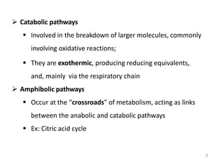 7
 Catabolic pathways
 Involved in the breakdown of larger molecules, commonly
involving oxidative reactions;
 They are exothermic, producing reducing equivalents,
and, mainly via the respiratory chain
 Amphibolic pathways
 Occur at the “crossroads” of metabolism, acting as links
between the anabolic and catabolic pathways
 Ex: Citric acid cycle
 