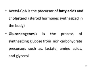 15
• Acetyl-CoA is the precursor of fatty acids and
cholesterol (steroid hormones synthesized in
the body)
• Gluconeogenesis is the process of
synthesizing glucose from non carbohydrate
precursors such as, lactate, amino acids,
and glycerol
 