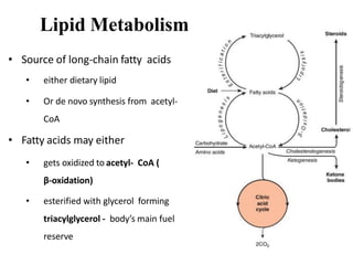 Lipid Metabolism
• Source of long-chain fatty acids
• either dietary lipid
• Or de novo synthesis from acetyl-
CoA
• Fatty acids may either
• gets oxidized to acetyl- CoA (
β-oxidation)
• esterified with glycerol forming
triacylglycerol - body’s main fuel
reserve
 