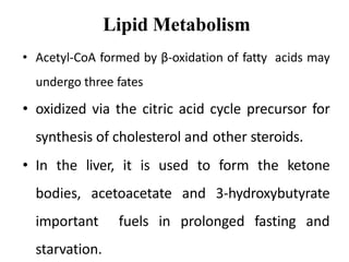 Lipid Metabolism
• Acetyl-CoA formed by β-oxidation of fatty acids may
undergo three fates
• oxidized via the citric acid cycle precursor for
synthesis of cholesterol and other steroids.
• In the liver, it is used to form the ketone
bodies, acetoacetate and 3-hydroxybutyrate
important fuels in prolonged fasting and
starvation.
 