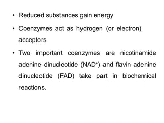 • Reduced substances gain energy
• Coenzymes act as hydrogen (or electron)
acceptors
• Two important coenzymes are nicotinamide
adenine dinucleotide (NAD+) and flavin adenine
dinucleotide (FAD) take part in biochemical
reactions.
 