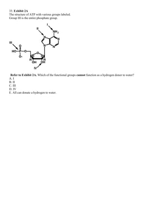 33. Exhibit 2A
The structure of ATP with various groups labeled.
Group III is the entire phosphate group.
Refer to Exhibit 2A. Which of the functional groups cannot function as a hydrogen donor to water?
A. I
B. II
C. III
D. IV
E. All can donate a hydrogen to water.
 