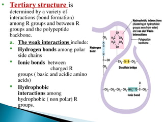 Comprehensive Overview of Amino Acids and Protein Structures in ...