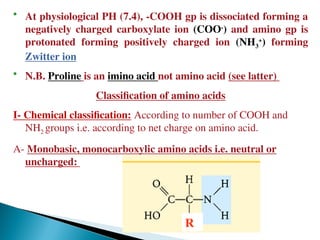 Comprehensive Overview of Amino Acids and Protein Structures in ...