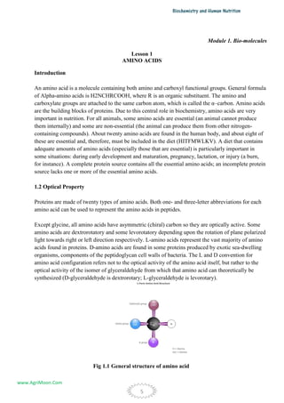 Biochemistry and-human-nutrition | PDF