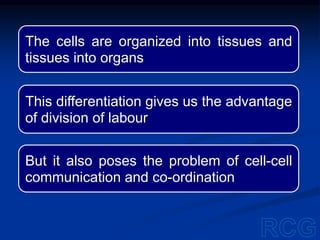 The cells are organized into tissues and
tissues into organs
This differentiation gives us the advantage
of division of labour
But it also poses the problem of cell-cell
communication and co-ordination
 