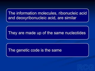 The information molecules, ribonucleic acid
and deoxyribonucleic acid, are similar
They are made up of the same nucleotides
The genetic code is the same
 