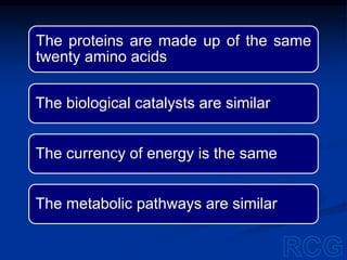 The proteins are made up of the same
twenty amino acids
The biological catalysts are similar
The currency of energy is the same
The metabolic pathways are similar
 