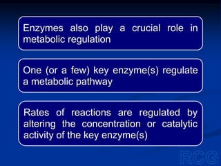 Enzymes also play a crucial role in
metabolic regulation
One (or a few) key enzyme(s) regulate
a metabolic pathway
Rates of reactions are regulated by
altering the concentration or catalytic
activity of the key enzyme(s)
 