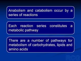 Anabolism and catabolism occur by a
series of reactions
Each reaction series constitutes a
metabolic pathway
There are a number of pathways for
metabolism of carbohydrates, lipids and
amino acids
 