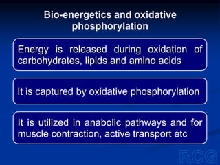 Energy is released during oxidation of
carbohydrates, lipids and amino acids
It is captured by oxidative phosphorylation
It is utilized in anabolic pathways and for
muscle contraction, active transport etc
Bio-energetics and oxidative
phosphorylation
 