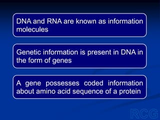 DNA and RNA are known as information
molecules
Genetic information is present in DNA in
the form of genes
A gene possesses coded information
about amino acid sequence of a protein
 