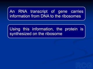 An RNA transcript of gene carries
information from DNA to the ribosomes
Using this information, the protein is
synthesized on the ribosome
 
