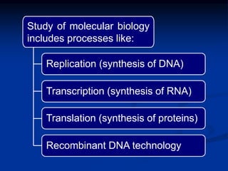 Study of molecular biology
includes processes like:
Replication (synthesis of DNA)
Transcription (synthesis of RNA)
Translation (synthesis of proteins)
Recombinant DNA technology
 