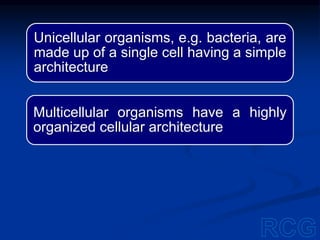 Unicellular organisms, e.g. bacteria, are
made up of a single cell having a simple
architecture
Multicellular organisms have a highly
organized cellular architecture
 