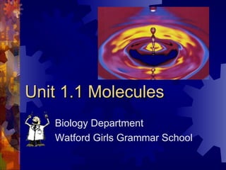 Unit 1.1 Molecules Biology Department Watford Girls Grammar School 