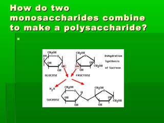How do two
monosaccharides combine
to make a polysaccharide?
 
 