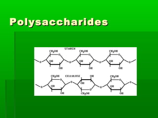 Polysaccharides
 