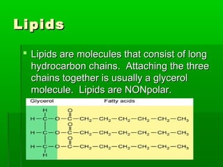 Lipids

  Lipids are molecules that consist of long
   hydrocarbon chains. Attaching the three
   chains together is usually a glycerol
   molecule. Lipids are NONpolar.
 