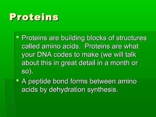 Proteins

  Proteins are building blocks of structures
   called amino acids. Proteins are what
   your DNA codes to make (we will talk
   about this in great detail in a month or
   so).
  A peptide bond forms between amino
   acids by dehydration synthesis.
 