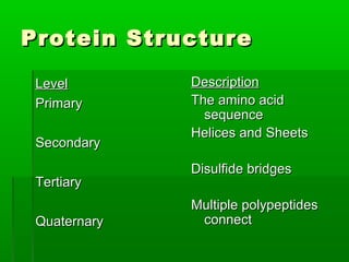 Protein Structure

 Level        Description
 Primary      The amino acid
                sequence
              Helices and Sheets
 Secondary
              Disulfide bridges
 Tertiary
              Multiple polypeptides
 Quaternary    connect
 