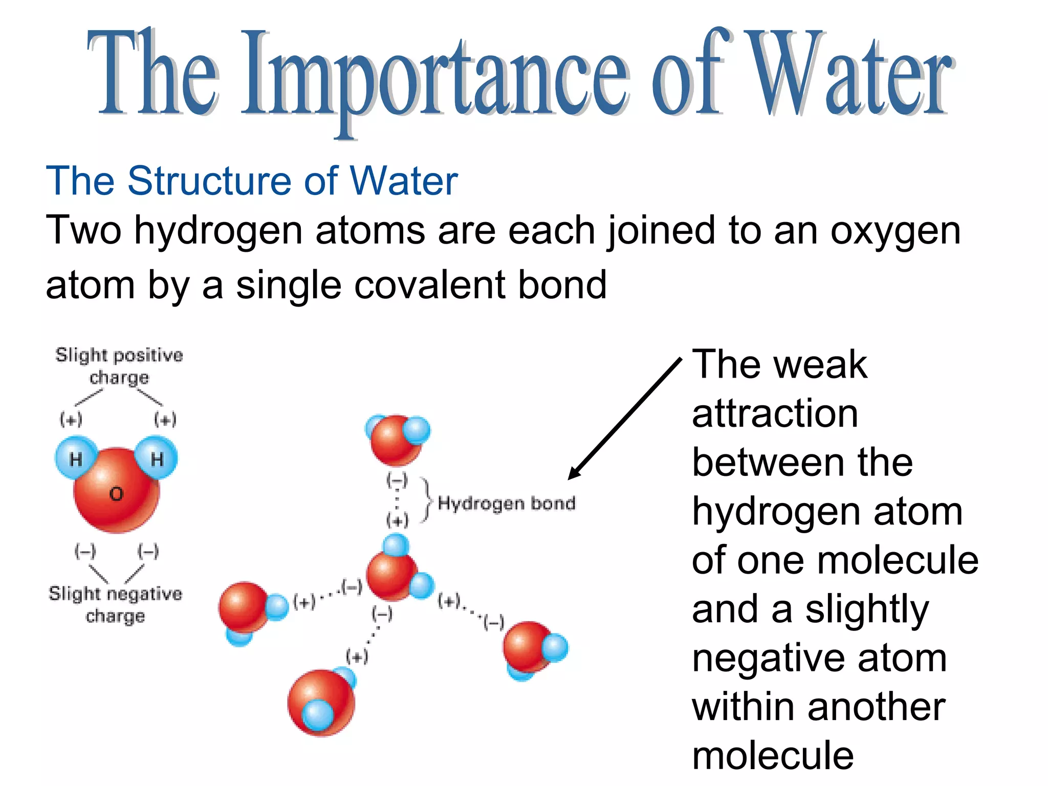 The Importance of Water The Structure of Water Two hydrogen atoms are each joined to an oxygen atom by a single covalent bond   The weak attraction between the hydrogen atom of one molecule and a slightly negative atom within another molecule                                                                                                               
