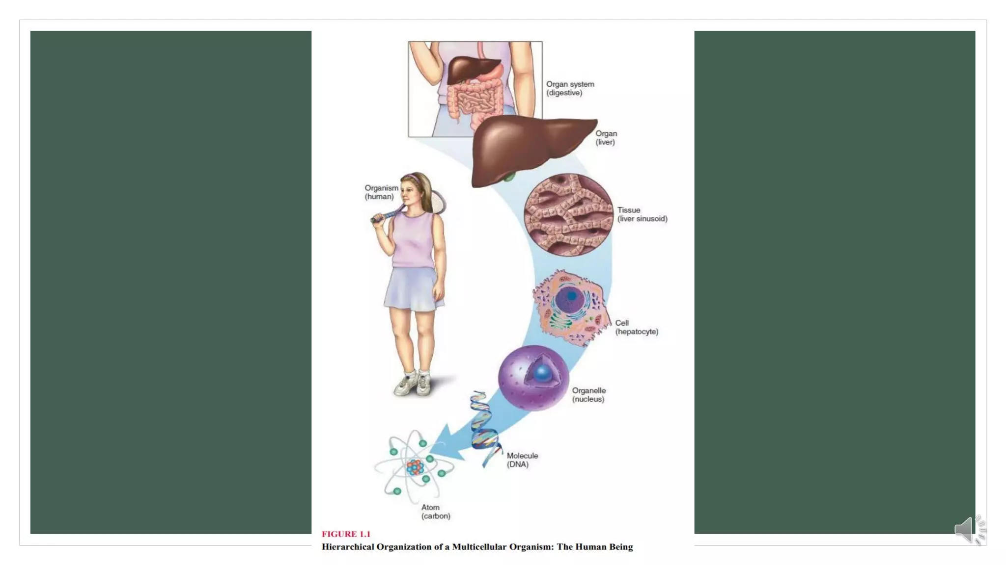 WHY IS BIOCHEMISTRY IMPORTANT IN NURSING visual data 8