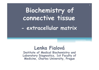 Biochemistry of
connective tissue
- extracellular matrix
Lenka Fialová
Institute of Medical Biochemistry and
Laboratory Diagnostics, 1st Faculty of
Medicine, Charles University, Prague
1
 