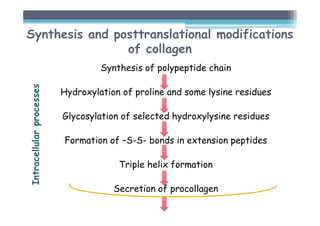 Synthesis and posttranslational modifications
of collagen
Synthesis of polypeptide chain
Hydroxylation of proline and some lysine residues
Glycosylation of selected hydroxylysine residues
Formation of –S-S- bonds in extension peptides
Triple helix formation
Secretion of procollagen
Intracellular
processes
 