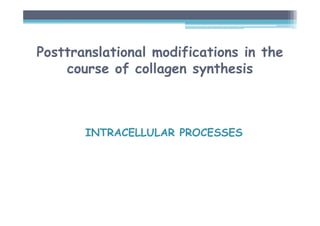 Posttranslational modifications in the
course of collagen synthesis
INTRACELLULAR PROCESSES
 
