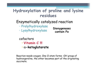 Hydroxylation of proline and lysine
residues
Enzymatically catalyzed reaction
▫ Prolylhydroxylase
▫ Lysylhydroxylase
cofactors
 Vitamin C !!!
 α
α
α
α-ketoglutarate
Reaction needs oxygen. One O atom forms -OH group of
hydroxyproline, the other becomes part of the originating
succinate.
Dioxygenases
contain Fe
 