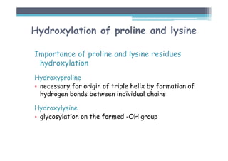 Hydroxylation of proline and lysine
Importance of proline and lysine residues
hydroxylation
Hydroxyproline
• necessary for origin of triple helix by formation of
hydrogen bonds between individual chains
Hydroxylysine
• glycosylation on the formed -OH group
 