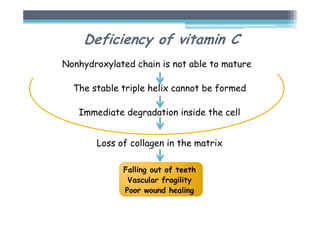 Nonhydroxylated chain is not able to mature
The stable triple helix cannot be formed
Immediate degradation inside the cell
Loss of collagen in the matrix
Falling out of teeth
Vascular fragility
Poor wound healing
Deficiency of vitamin C
 