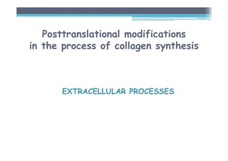Posttranslational modifications
in the process of collagen synthesis
EXTRACELLULAR PROCESSES
 