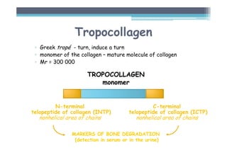 Tropocollagen
▫ Greek tropé - turn, induce a turn
▫ monomer of the collagen – mature molecule of collagen
▫ Mr = 300 000
N-terminal
telopeptide of collagen (INTP)
nonhelical area of chains
TROPOCOLLAGEN
monomer
C-terminal
telopeptide of collagen (ICTP)
nonhelical area of chains
MARKERS OF BONE DEGRADATION
(detection in serum or in the urine)
 