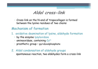 Aldol cross-link
▫ Cross-link on the N-end of tropocollagen is formed
between the lysine residues of two chains
Mechanism of formation
1. oxidative deamination of lysine, aldehyde formation
▫ by the enzyme lysyloxidase
▫ aminooxidase, containing Cu2+
▫ prosthetic group – pyridoxalphosphate
2. Aldol condensation of aldehyde groups
spontaneous reaction, two aldehydes form a cross-link
 