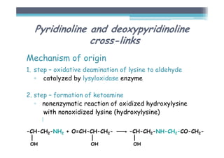 Mechanism of origin
1. step – oxidative deamination of lysine to aldehyde
▫ catalyzed by lysyloxidase enzyme
2. step – formation of ketoamine
▫ nonenzymatic reaction of oxidized hydroxylysine
with nonoxidized lysine (hydroxylysine)
|
OH OH OH
Pyridinoline and deoxypyridinoline
cross-links
-CH-CH2-NH2 + O=CH-CH-CH2- -CH-CH2-NH-CH2-CO-CH2-
 