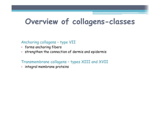 Anchoring collagens – type VII
• forms anchoring fibers
• strengthen the connection of dermis and epidermis
Transmembrane collagens – types XIII and XVII
• integral membrane proteins
Overview of collagens-classes
 