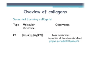 Oveview of collagens
Some net forming collagens
Type Molecular Occurrence
structure
IV [α1(IV)]2 [α2(IV)] basal membranes,
formation of two-dimensional net
gingiva, periodontal ligaments
 