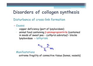 Disorders of collagen synthesis
Disturbance of cross-link formation
• Causes
▫ copper deficiency (part of lysyloxidase)
▫ animal food containing β-aminopropionitrile (contained
in seeds of sweet pea − Lathyris odoratus) – blocks
lysyloxidase − lathyrism
Manifestations
extreme fragility of connective tissue (bones, vessels)
 