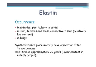 Elastin
Occurrence
• in arteries, particularly in aorta
• in skin, tendons and loose connective tissue (relatively
low content)
• in lungs
Synthesis takes place in early development or after
tissue damage
Half-time is approximately 70 years (lower content in
elderly people).
 