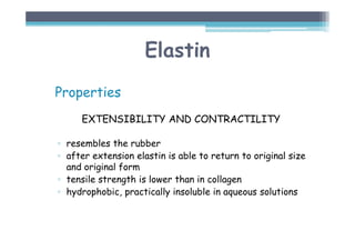 Elastin
Properties
EXTENSIBILITY AND CONTRACTILITY
▫ resembles the rubber
▫ after extension elastin is able to return to original size
and original form
▫ tensile strength is lower than in collagen
▫ hydrophobic, practically insoluble in aqueous solutions
 
